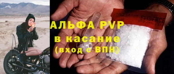 PSILOCYBIN Аркадак