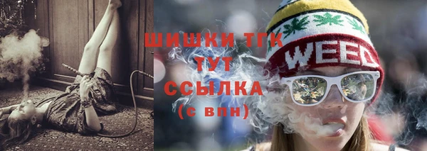 PSILOCYBIN Аркадак